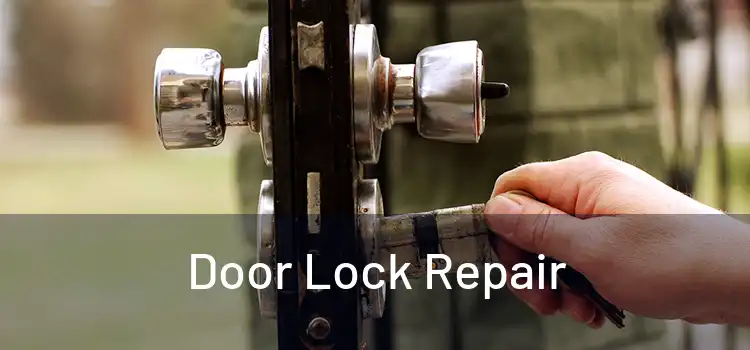  Door Lock Repair 
