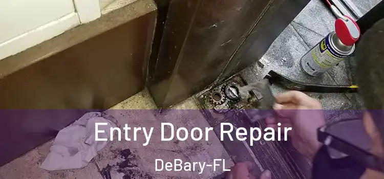  Entry Door Repair DeBary-FL